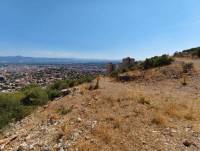 Resim19128